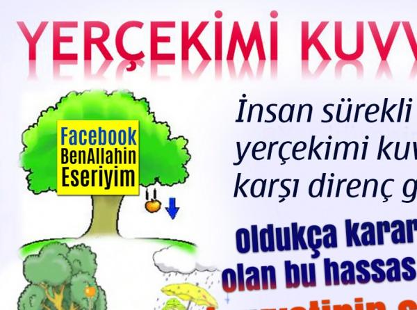 YERÇEKİMİ KUVVETİNİN ETKİSİNİN İNCELENMESİ